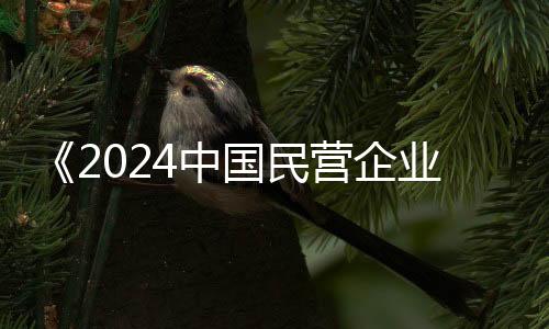 《2024中国民营企业500强调研分析报告》出炉 粤企分别居第一名、第二名、第四名